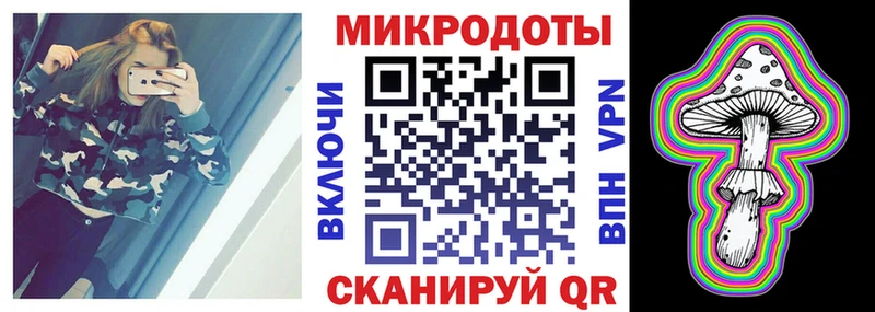 mega вход  как найти закладки  Лодейное Поле  Галлюциногенные грибы Psilocybe 